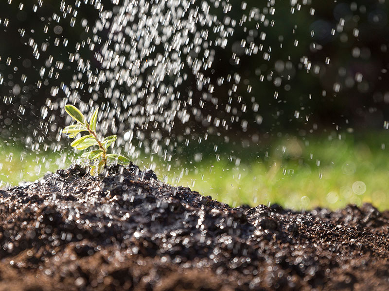 Irrigation Systems